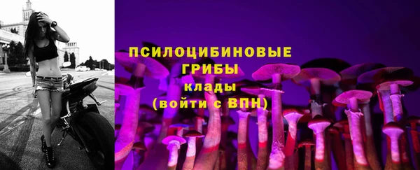 МДМА Бородино