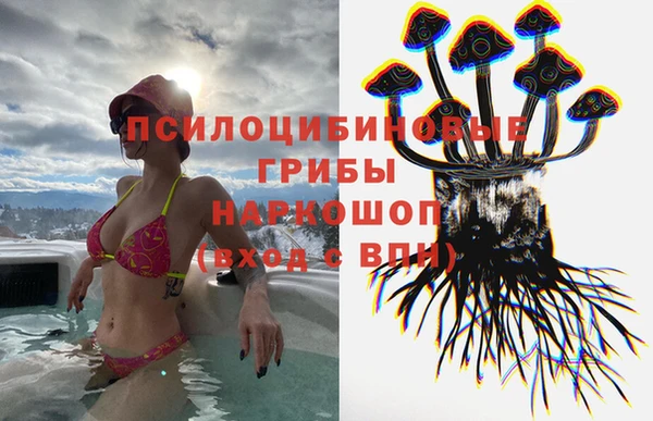 кокс Михайлов