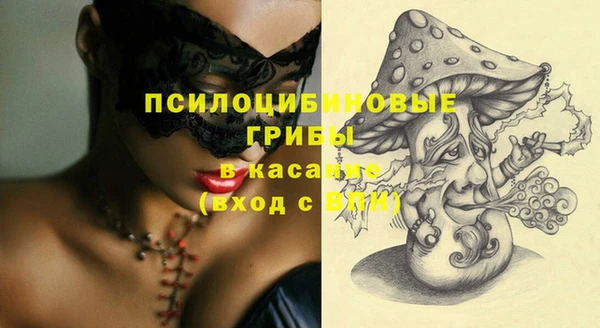 COCAINE Богородицк