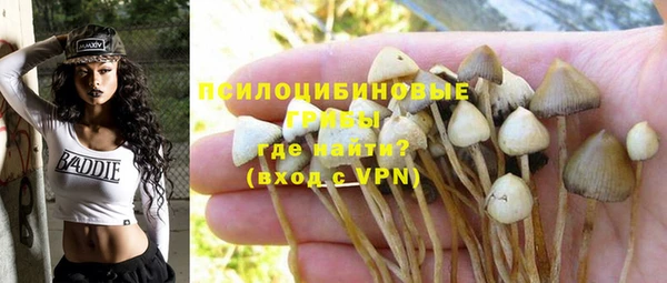 кокс Михайлов