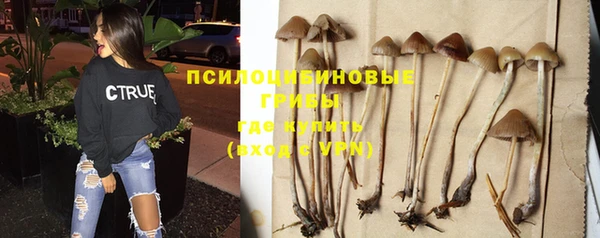 наркотики Богородск