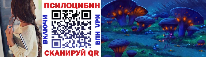 Псилоцибиновые грибы Cubensis  сколько стоит  Весьегонск 